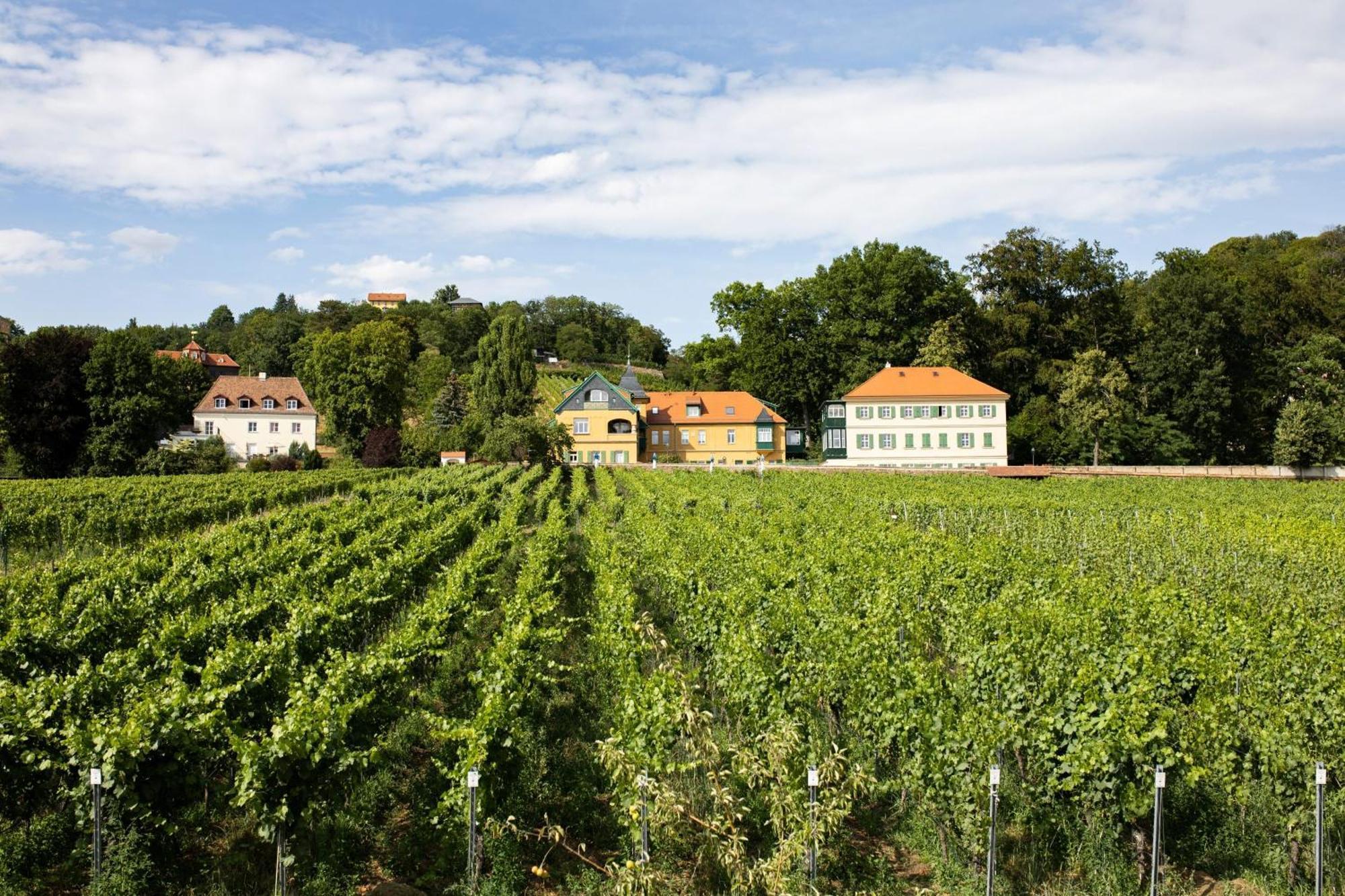 Вилла Weingut Haus Steinbach Радебойль Экстерьер фото