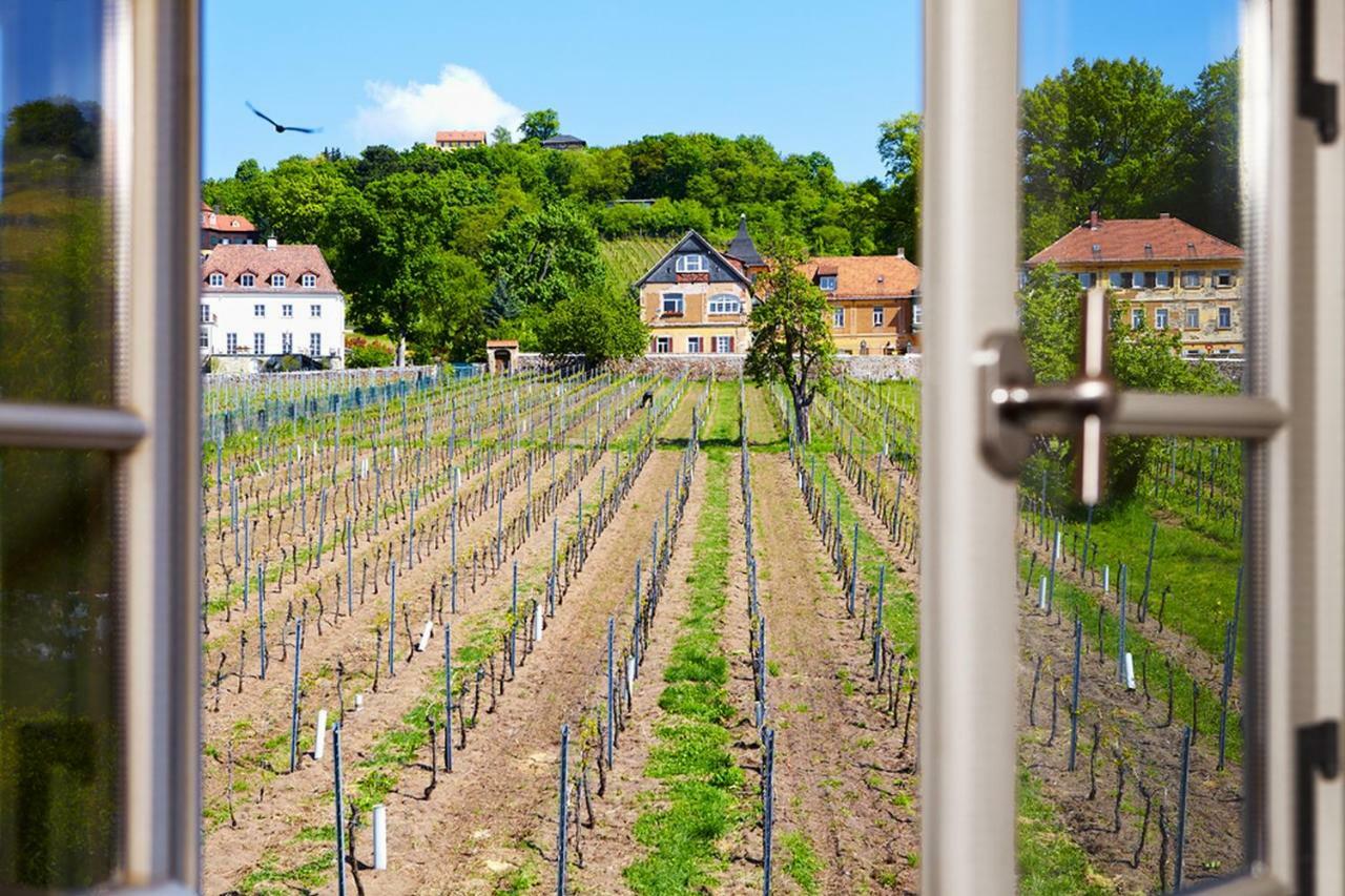 Вилла Weingut Haus Steinbach Радебойль Экстерьер фото